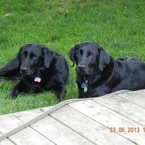 Meet your Posher, Barbara